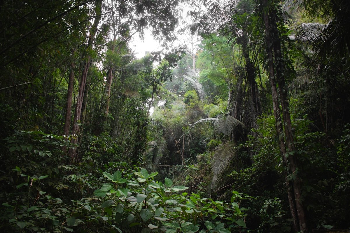 Representative activity image for Green Planet