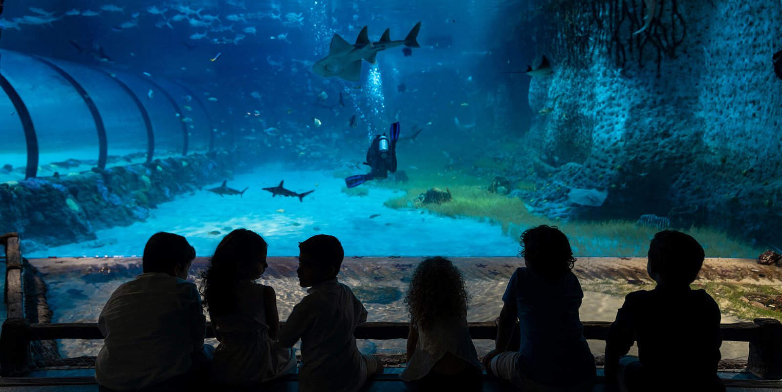 National Aquarium experience