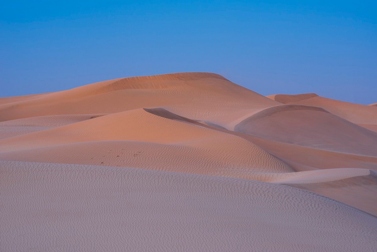 Representative activity image for Premium Desert Safari